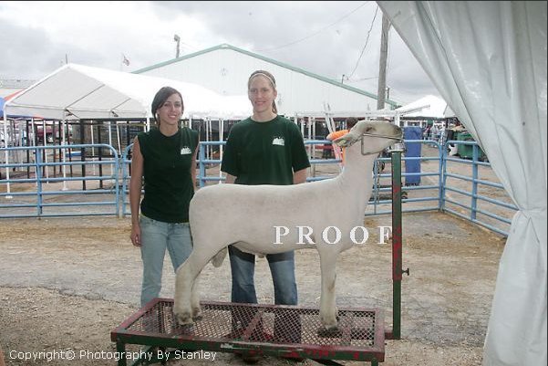 kristyatthedupagecountyfair2007.jpg